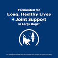 Hill's Science Diet Large Breed Dry Dog Food