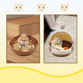 Hamster Carrier Cage Portable Cages Small Animals Carry Travel Case with Water Bottle Plastic Breathable Guinea Pig Outg