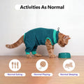 BRKURLEG Cat Recovery Suit with Hind Legs, Breathable Post Spay Onesie for Female Cats & Kittens, Anti-Licking Abdominal & Hind Leg Wound Protector, Cone Alternative, Green L