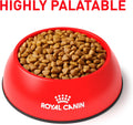 ROYAL CANIN Veterinary Diet Feline Calm Dry Cat Food, 4.4 lb