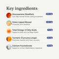 Petlab Co. Joint Care Chews for Dogs - High Levels of Glucosamine, Green Lipped Mussels, Omega 3 and Turmeric - Hip and Joint Supplement for Dogs to Actively Support Mobility, Packaging May Vary
