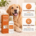 Skin Care Spray for Pets, Rinse-Free for Soothing Itching, Discomfort, Scratching