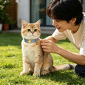 Soft Corduroy Cat Collar for Small to Large Cats, Adjustable 7-11 Inch, Gold Buckle & Bell