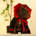 Dog Cat Vampire Cloak Costume for Small Medium Large Dogs Cats, Halloween Dog Costumes Cat Vampire Cloak