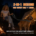 Removable Dog Seat Belt for Car,Adjustable Dog Car Harness with Bungee