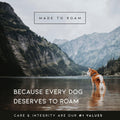 MADE TO ROAM Premium Explorer Harness - Y-Shaped Dog Harness with Adjustable Durable Nylon, Soft Padding, Metal Buckles 