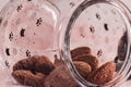 10 Strawberry Street Cat Ears Pet Treat Canister, Black