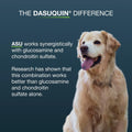 Nutramax Dasuquin Joint Health Supplement for Large Senior Dogs – for Immune Support, Skin & Coat Health, and Brain Health, 84 Soft Chews