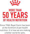 Royal Canin Canine Health Nutrition Adult In Gel Dog Food, 13.5 oz (Pack of 12)