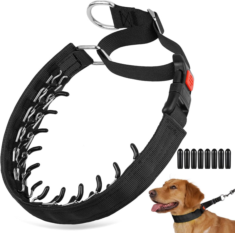 Crazy Felix No Pull Dog Collar, Hidden Martingale Training Collar