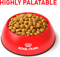 Royal Canin Veterinary Urinary SO Mod Calorie Adult Dry Cat Food, 17.6 lb