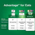 Advantage Topical Cat Flea Treatment and Prevention for Large Cats Over 9 lbs. | Apply Flea Drops Monthly | 2 Treatments