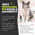Jackson Galaxy Vitamin B12 for Cats, Liquid Daily Supplement Drops, 1 oz