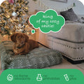 Molly Mutt Medium to Large Dog Bed Cover- Forever Young Print - Measures 27”X36”X5’’ - 100% Cotton - Durable - Breathable - Sustainable - Machine Washable Dog Bed Cover (Dd82b)