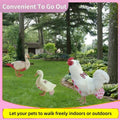 Chicken Diapers, Poultry Nappies, Reusable Waterproof Washable for Bantam Hens, Silkies, Ducks & Geese