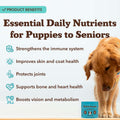 Natural Dog Company 25-in-1 Multivitamin for Dogs – Vet-Formulated Soft Chews for Puppies, Adults & Seniors, Supports Joints, Skin, Coat, Immune & Heart Health, NASC Certified, 90 Count