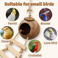 Tfwadmx 4 Pcs Coconut Hide with Ladder, Natural Coconut Fiber Hanging Birdhouse Cage, Coconut Bird Shell Breeding Nest f