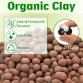 Halatool 2QT Leca Clay Balls for Terrarium Substrate – Lightweight Drainage