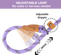 5 FT Slip Lead Dog Leash, Heavy Duty Rope Leash for Small Medium Large Dogs, No Pull Training Lead with Reflective Threa