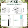 Upgrad Jumping Spider Magnetic Water Feeding Dish for Small Pet
