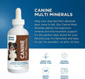 BEAM Minerals Advanced Canine Mineral and Electrolyte Replenishment Set