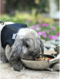 Herbivore Treat (3 oz.) - Healthy Natural Mixed Treat - Sweet Potatoes, Carrots, Green Peas, Oats, Rose Petals - For Chi