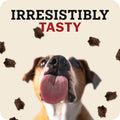 Redbarn Puppy Powerfood Air Dried Dog Food or Dry Topper, Beef & Lamb, 2lb
