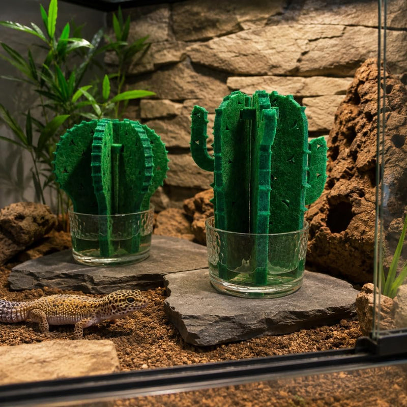 Reptile Humidifier, 2 Pack Passive Cactus Terrarium Decor