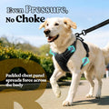 rabbitgoo Dog Harness, No Pull for Large Dogs with 2 Leash Clips, Pet Vest