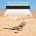 T5 10.0 UVB Reptile Light Bulb, 24W 22" 2-Pack for Bearded Dragon