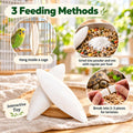 Amzey 12 Pack Cuttlebone for Birds, 4-6 Inch Natural Calcium Source for Parrots