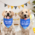 Agroon Dog Birthday Bandana Blue Boy XLarge 1PCS, Durable Triangle Reversible Scarf Bibs Handkerchief for Puppy Pet