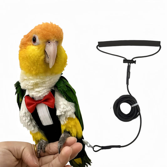 Magnoloran Bird Diapers Bird Harness Tuxedo Flight Suits with 80in Flying Leash Parrot Nappy with Waterproof Inner Layer Urine Wet Suite for Cockatiel Conure Parakeet Macaw Budgie-Black,S