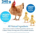 Equa Holistics HealthyGut Probiotics for Chickens & Poultry, All-Natural Digestive System Dietary Supplement (30 Scoops)
