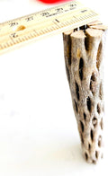 Natural Cholla Wood, Choya Air Plant, Untreated Beautiful Driftwood, Aquarium Decor, Betta Fish, Plecos, Shrimp, Minnows