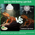 Pack of 2 Reptile Basking Light Bulbs - Incandescent 75W Simulated Sunlight UVA Heat Bulbs for Bearded Dragons, Geckos, 