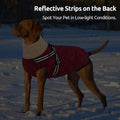 Queenmore Dog Jackets for Medium Dogs, Dog Coat with Harness Built in