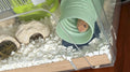 Bendable Reptile Tunnel & Hide for Juvenile Snakes