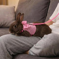 Bunny Clothes for Rabbits, Pink Polka Dot Rabbit Harness and Leash Set