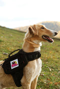 Dog Backpack for Small Medium Large Dogs,Adjustable Dog Backpack Harness with 2 Side Pockets,Vest Dog Pack for Travel,Hi