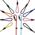FOVRLZSE 11-Pack Dog Leashes, 4.6FT, 10mm Braided Nylon, 11 Assorted Colors