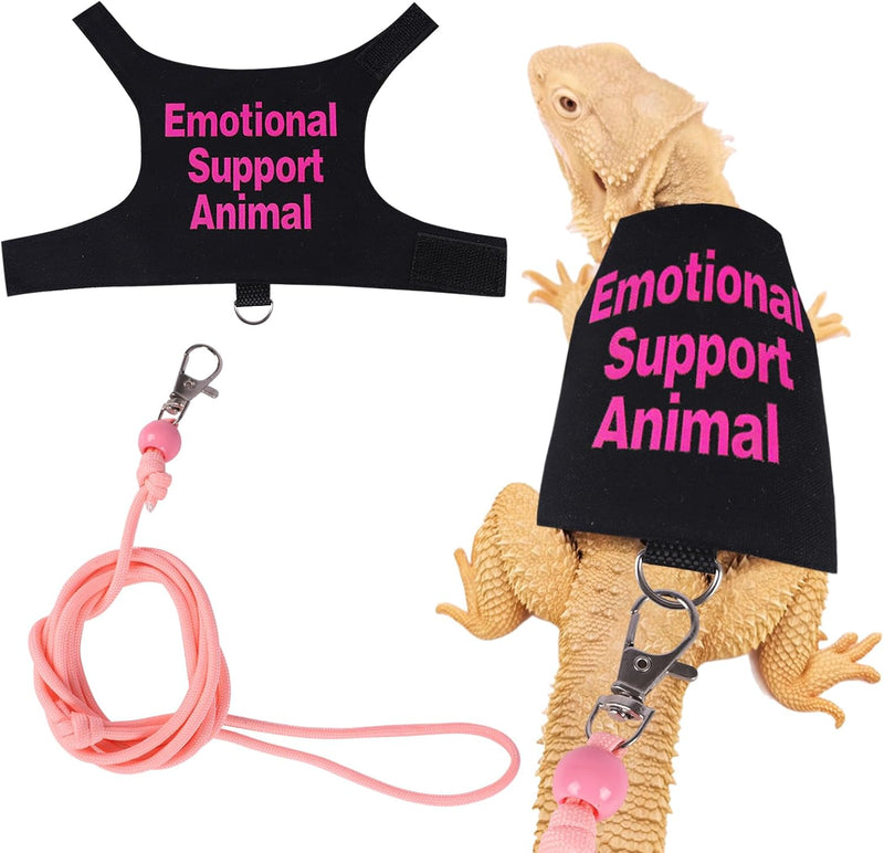 Bearded Dragon Harness and Leash Set Adjustable Reptile Lizard Leash Rope Vest Clothes Starter Kit Accessories for Small