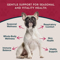 Animal Essentials Nettle Herbal Extract