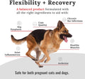Mojo Joint Supplement for Dogs and Cats, Feline + Canine Food Grade Hip & Joint Supplement with Glucosamine and Chondroi
