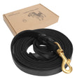 Guiding Star Leather Dog Leash 6ft, Dog Leashes for Large Dogs Heavy Duty, Soft Braided Handmade Leather Training Leash for Large & Medium Dogs (6ftx3/4inch, Black)