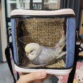 Small Animal Carrier Bag, Bearded Dragon Travel Carrier, Lizards Snak Carrier, Bird Carrier Backpack, Clear Bubble Windo