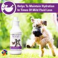 Vet Classics Pet-A-Lyte Oral Electrolyte Solution for Dogs & Cats - 32 Oz