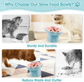 Cat Slow Feeder Bowl Set - 1 Pcs Pastel Series Cat Plate for Dry and Wet Food - Cute Maze Feeder Dish for Healthy Eating- Slow Feeding Bowls Whisker Friendly - Dishwasher Safe(Blue)
