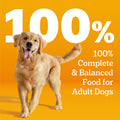 Pedigree Chopped Ground Dinner Wet Dog Food, Chicken, 13.2 oz, 12 Count