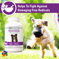 Vet Classics Coenzyme Q-10 Antioxidant Dog Supplement – Pet Health Supplement for Dogs – Supports Overall Dog Wellness, Aging – Includes Green Tea, Vitamin C, Wheat Grass – Chewable Tablets 120 Ct.